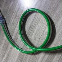 110v green flexible neon strip 11*18mm dome Wholesaler